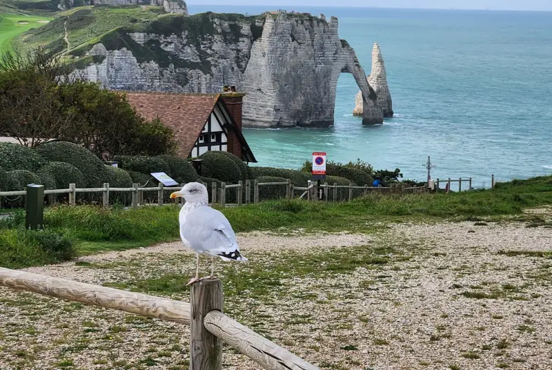 Camping le grand hameau Etretat