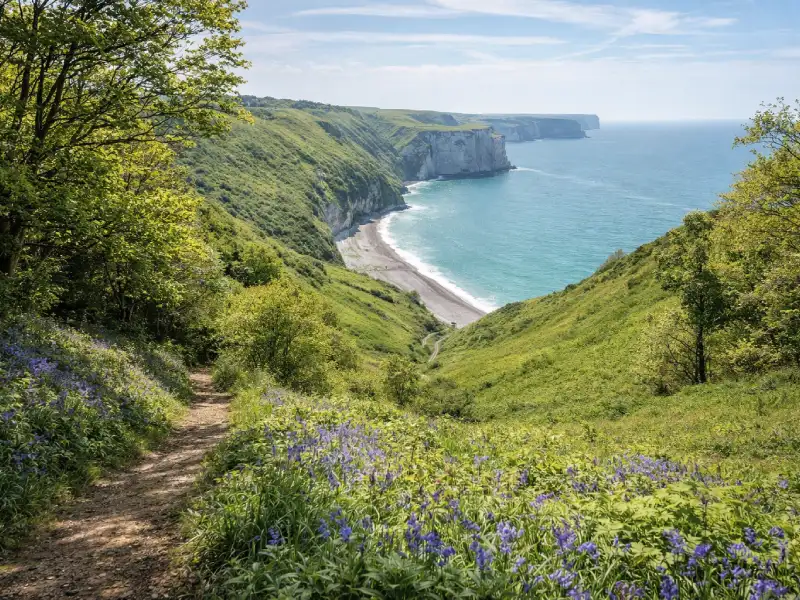 Valleuse d’Antifer et falaises normandes